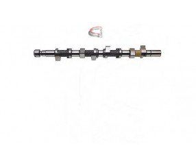 EKSANTRİK MİLİ EMME LGN II-MGN II 1.6 16V OKUYUCULU ÇELİK-ESTAS-8200235677