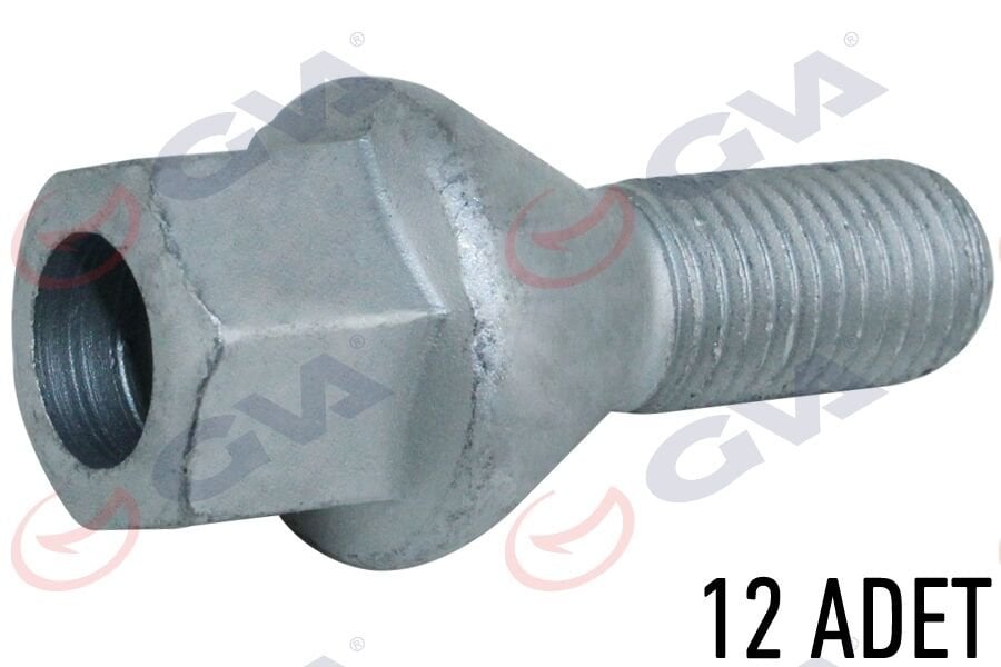 BİJON CİVATASI DACIA DUSTER-LOGAN PAKET 12-GVA 8810131-7703003008