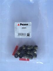 SUBAP LASTİĞİ VOLVO S40 V40 V50 S60 S70 C70 V70 XC70 S80 S90 V90 XC90 850 960 6 MM BENZINLI-PAYEN HR5076-9443787