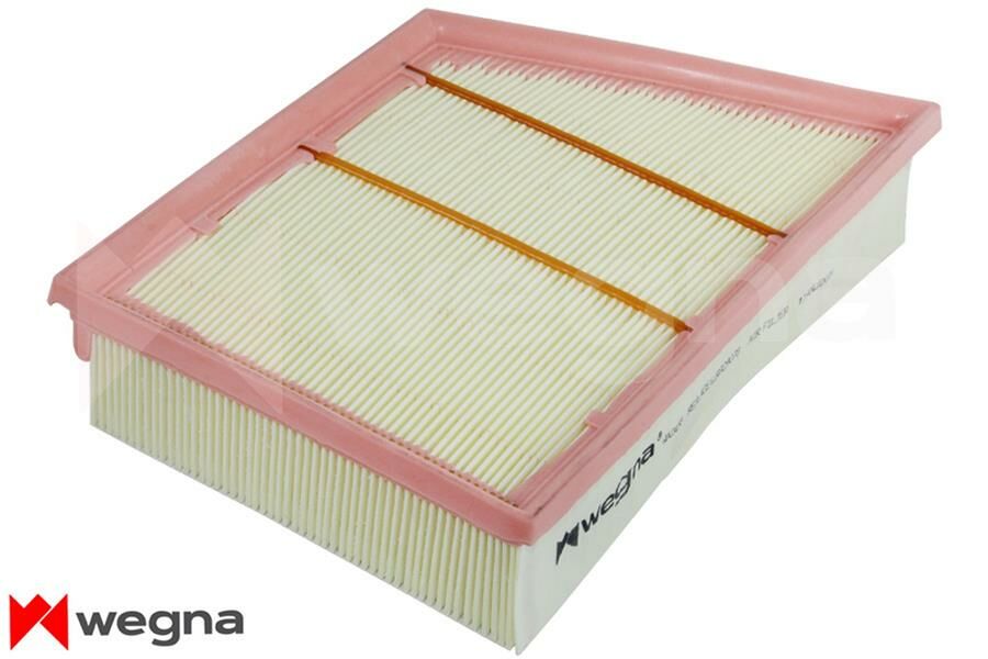 HAVA FİLTRESİ RANGE ROVER EVOQUE 11- C 29006-WEGNA WA2438-LR029078