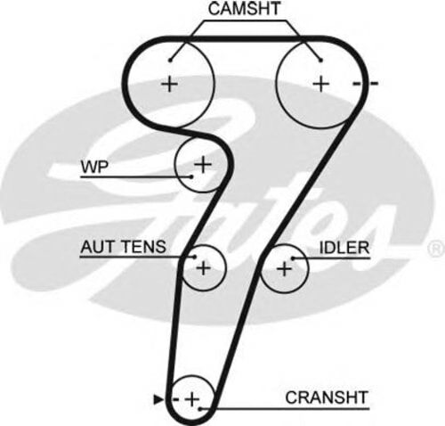 x TRİGER KAYIŞI 166x240 FIAT MAREA 2.0 20V 00-06 PUNTO STILO 1.8 16V 01 ALFA ROMEO LANCIA CT-GATES-55210626-60656341